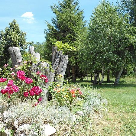 Galesic Apartments & Rooms Korenica Εξωτερικό φωτογραφία