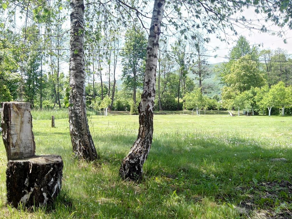 Galesic Apartments & Rooms Korenica Εξωτερικό φωτογραφία